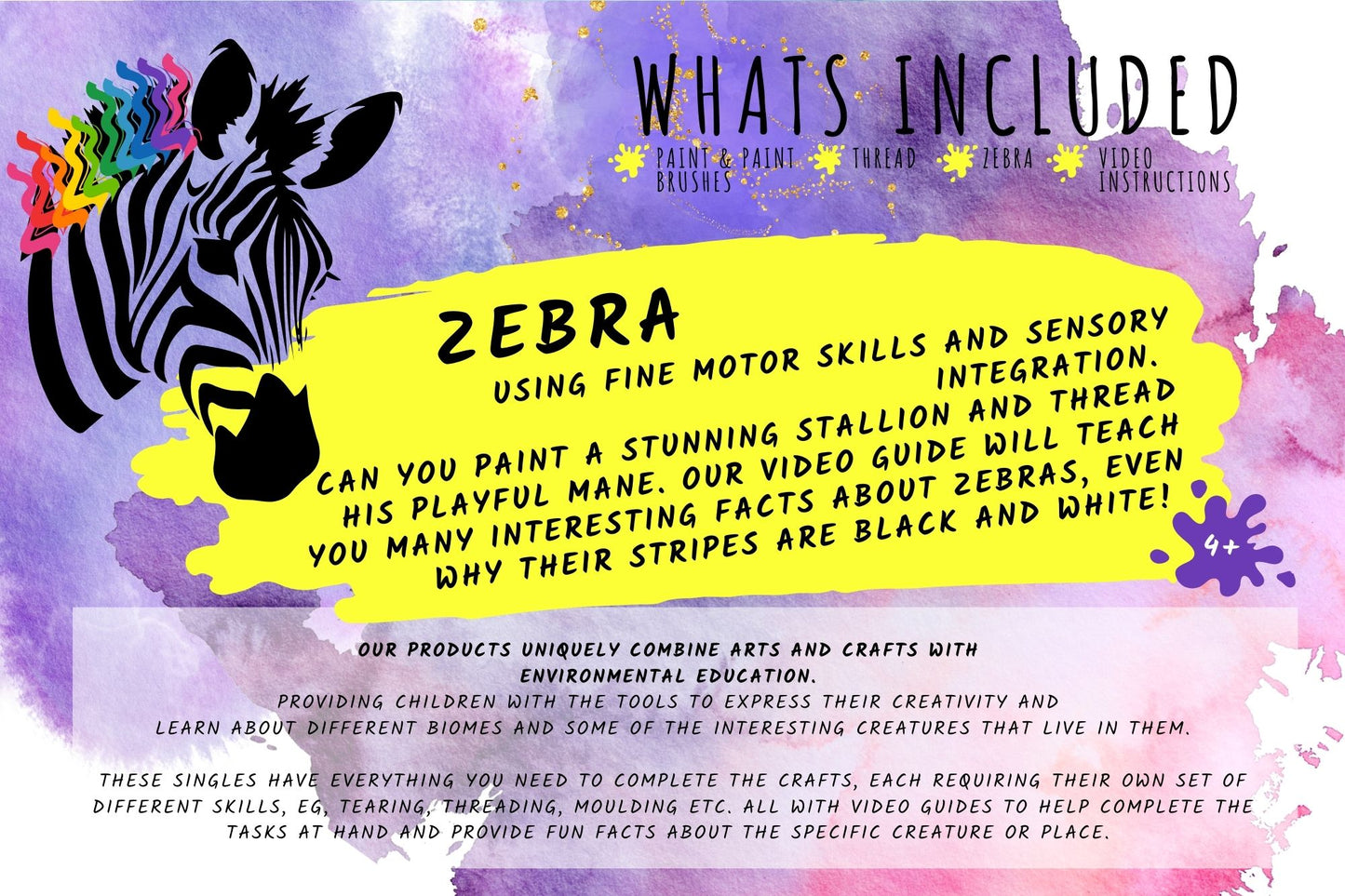 Zebra