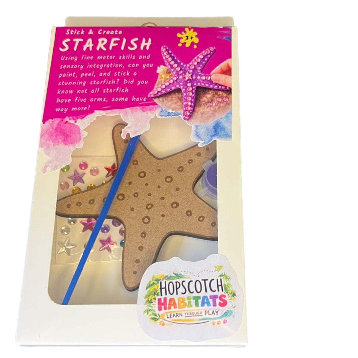 Starfish, Stick and Create