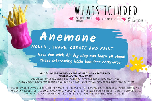 Anemone