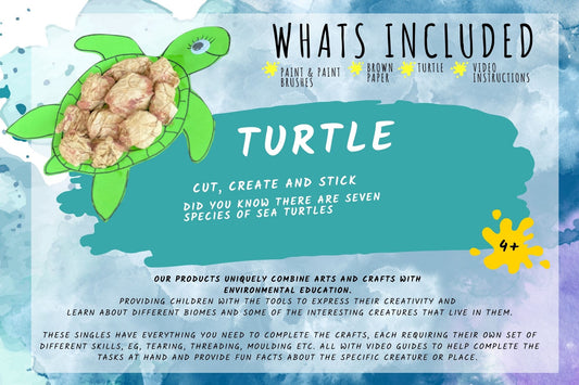 Turtle