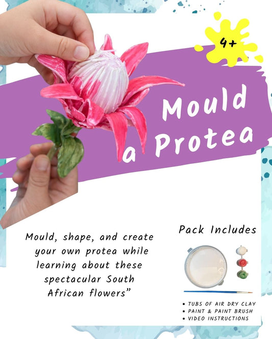 Mould a Protea